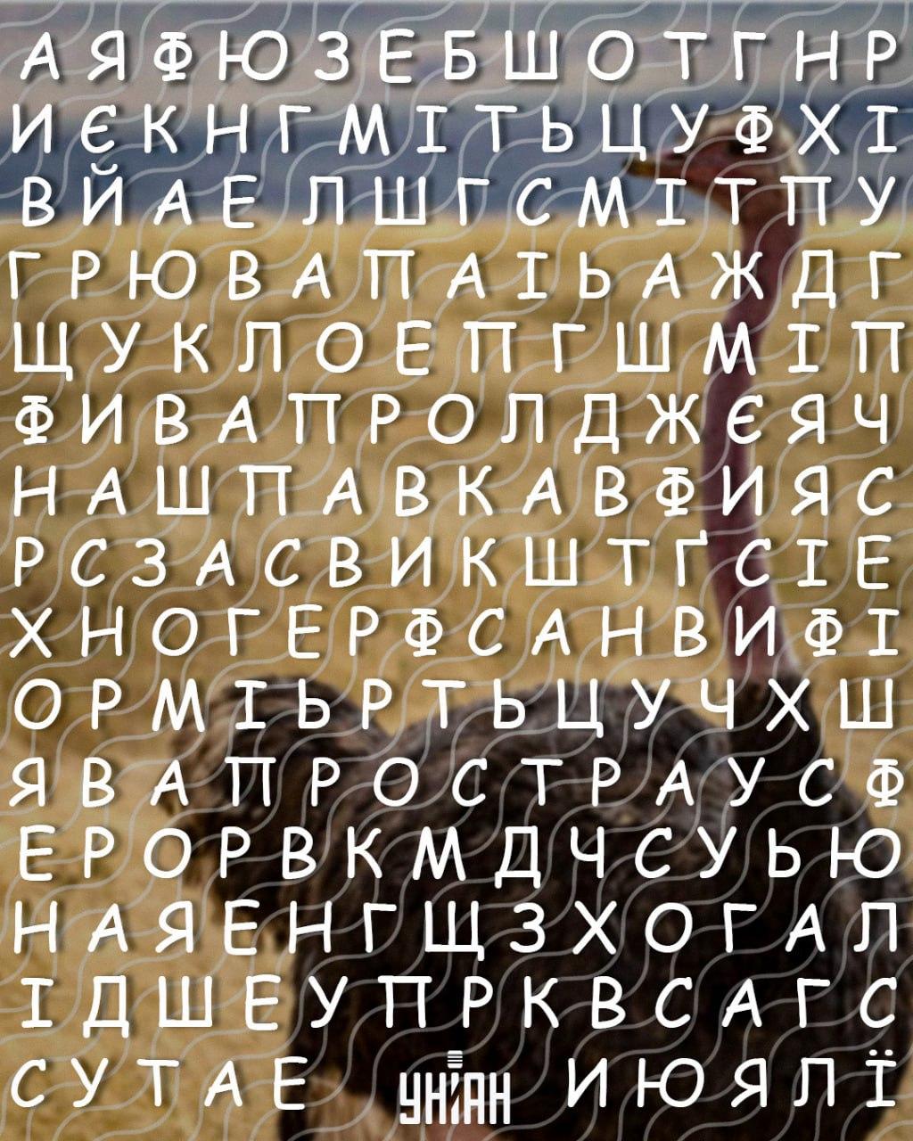 Hanya orang ber-IQ tinggi yang bisa menemukan kata 'burung unta' dalam 10 detik: teka-teki yang rumit Hanya orang dengan IQ tinggi yang bisa menemukan kata 'burung unta' dalam 10 detik: permainan teka-teki yang rumit