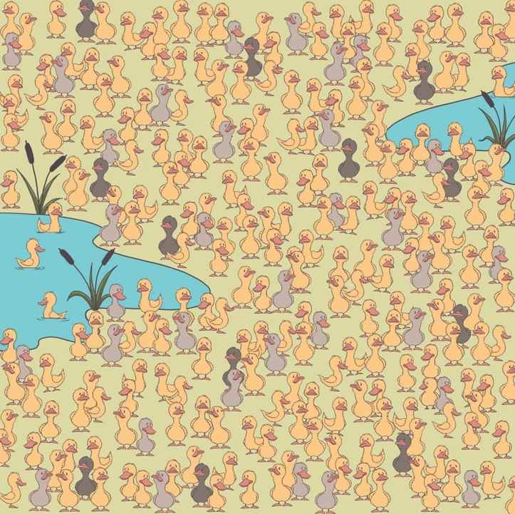 Misteri dan hal utama