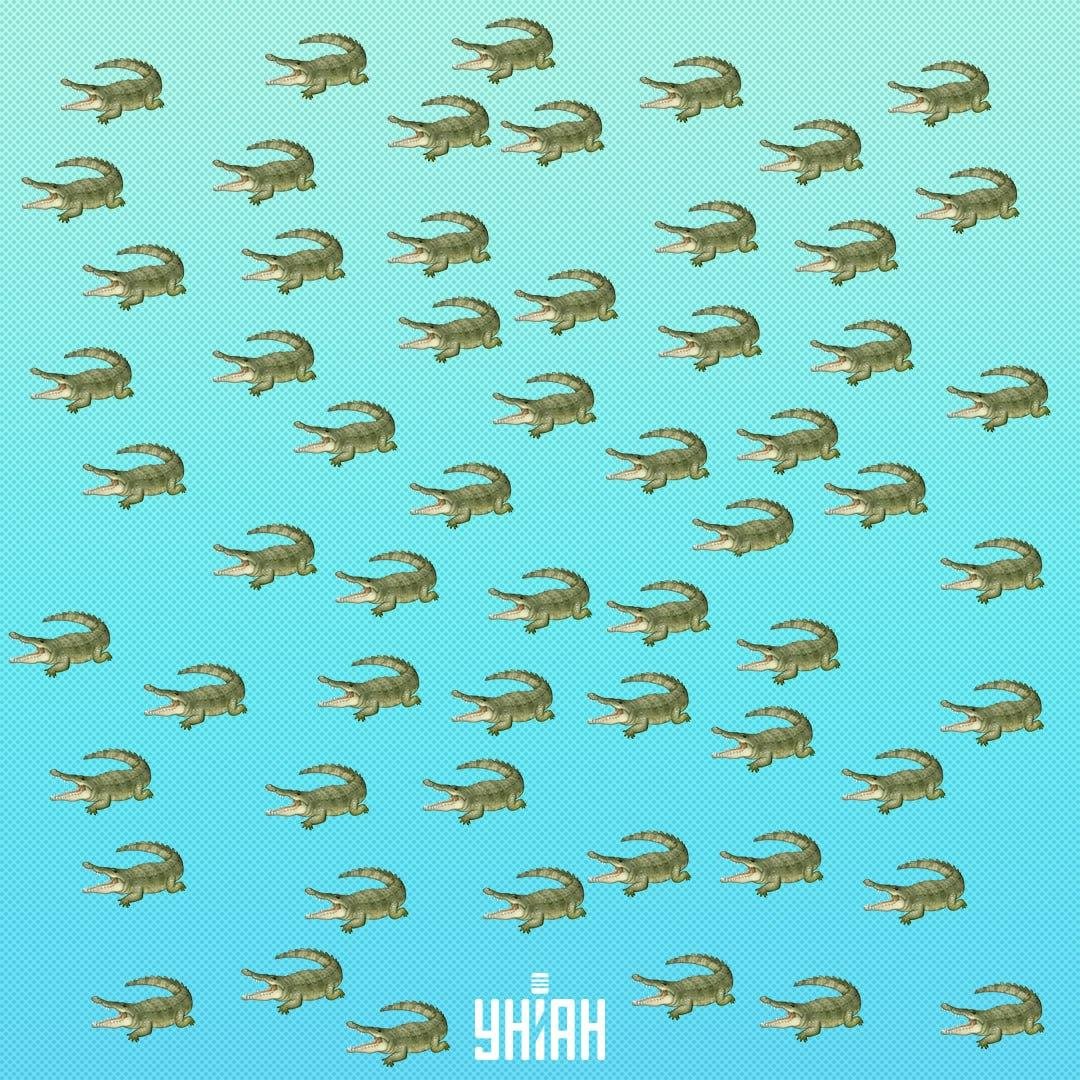 Reptil ini tersembunyi, tetapi Anda akan melihatnya dalam 15 detik / Kolase Moje